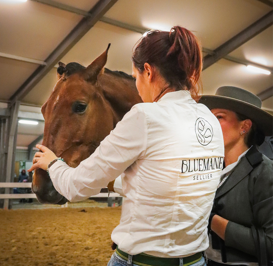 BLUEMANE SELLIER