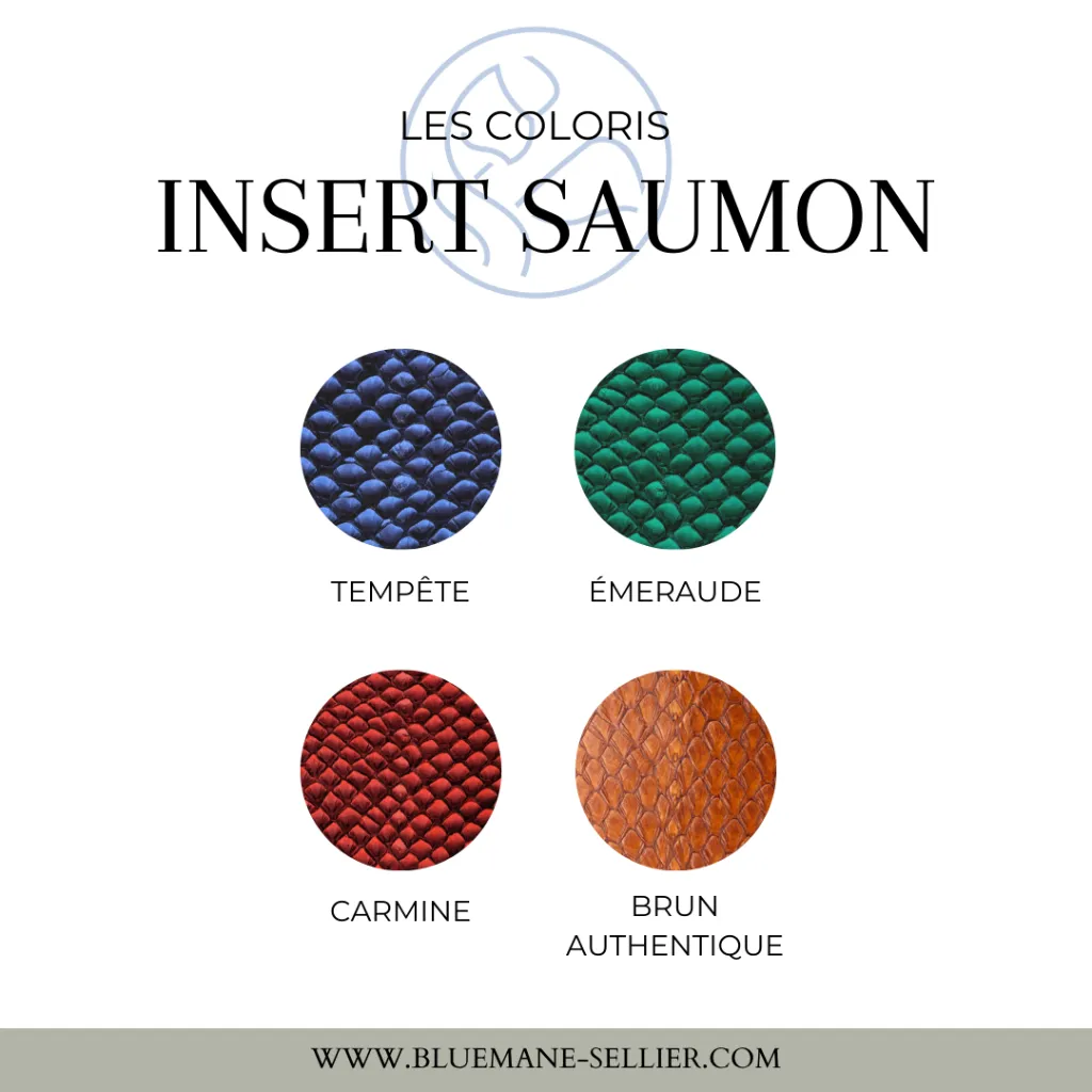 insert saumon.webp