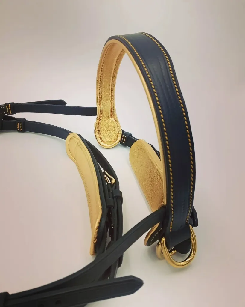 18494910307024917 (1).webp