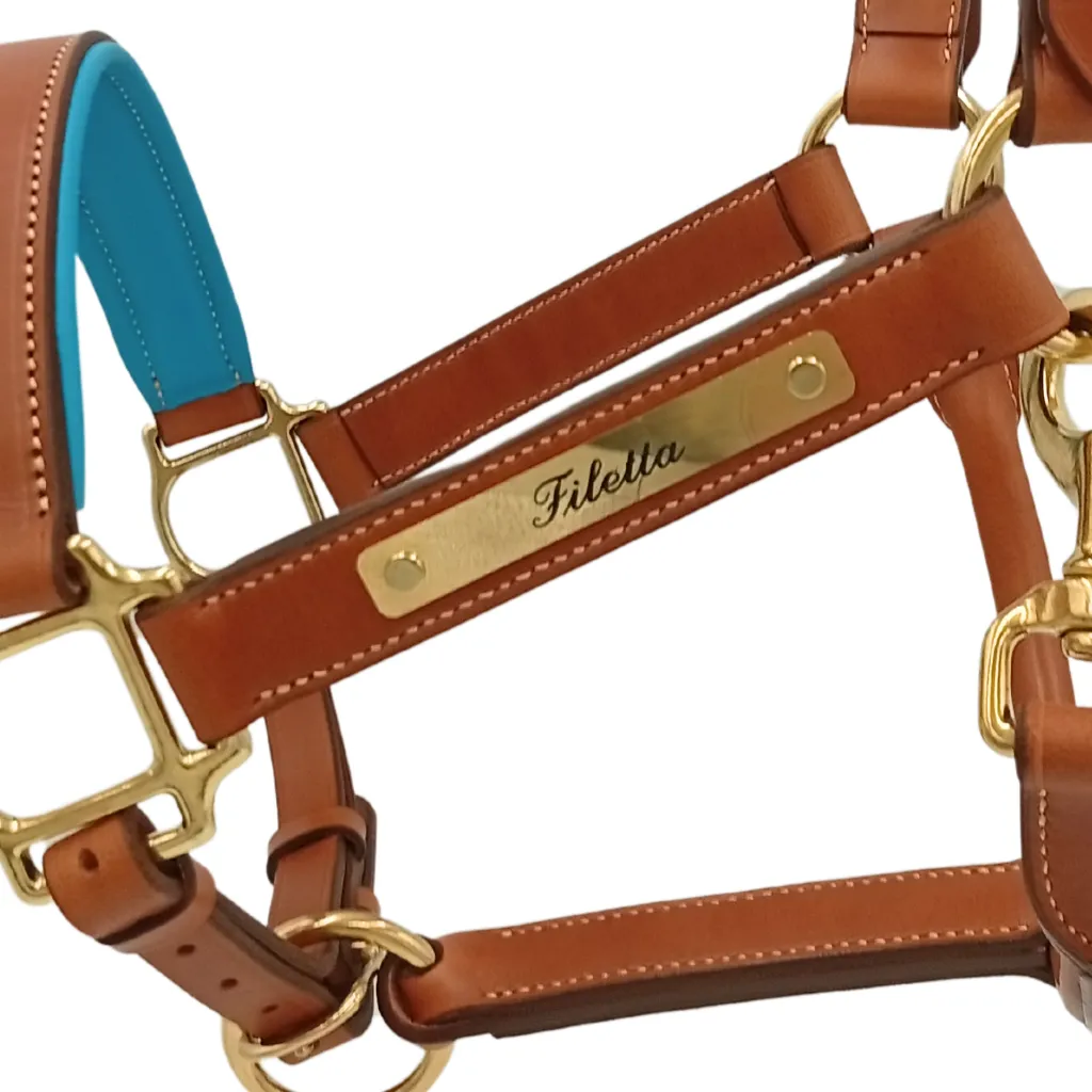 Feed insta 2025 (9) (1).webp