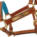 Feed insta 2025 (9) (1).webp