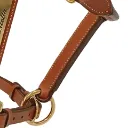 Feed insta 2025 (10) (1).webp