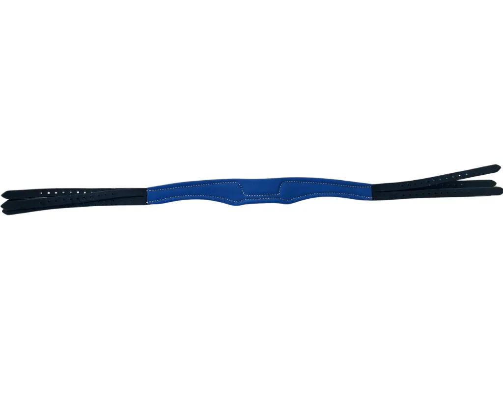 Flex dessous.webp