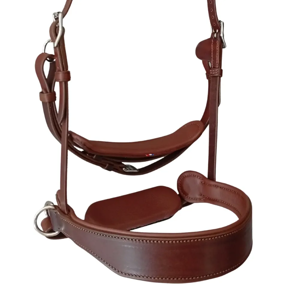 Muserolle sidepull - Dressage