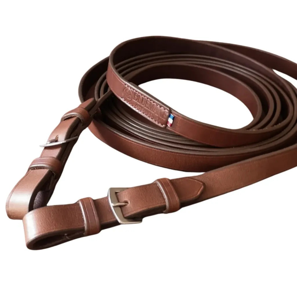 Leather reins