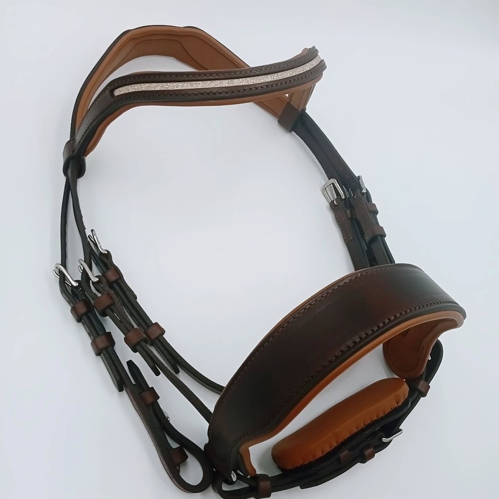 The bridle: much more than a tool